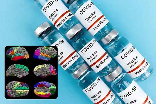 COVID-19 and Brain Health: How the Pandemic Affected Your Mind and What You Can Do About It 3 Covid-19