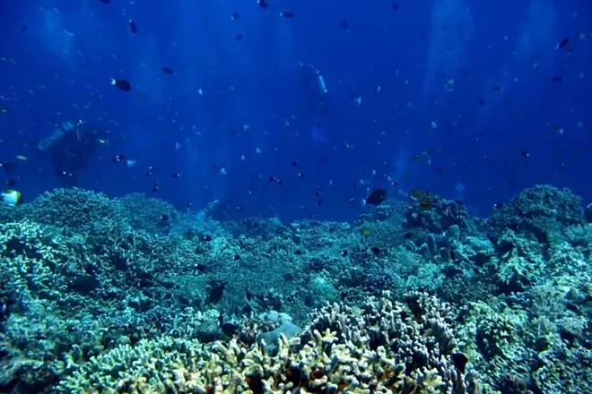 A Submerged Metropolis in the Atlantic? Discovery Revives the Search for Atlantis 17 A Submerged Metropolis in the Atlantic