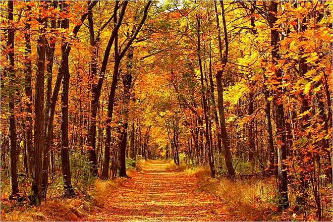 First Day of Autumn 2025: Date, Time & What It Really Means 3 First Day of Autumn