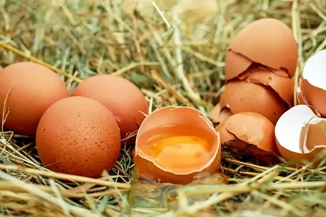 What Happens to My Body If I Eat Eggs Every Day? Expert Insights on Health Benefits and Risks 2 What happens to my body if I eat eggs every day